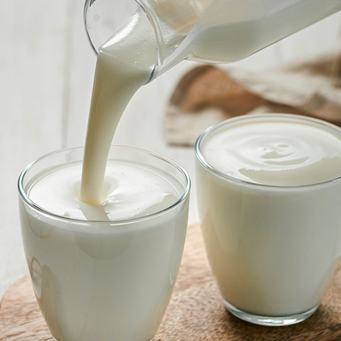 Fermenti Lattici e Yogurt: funzioni, benefici e assunzione